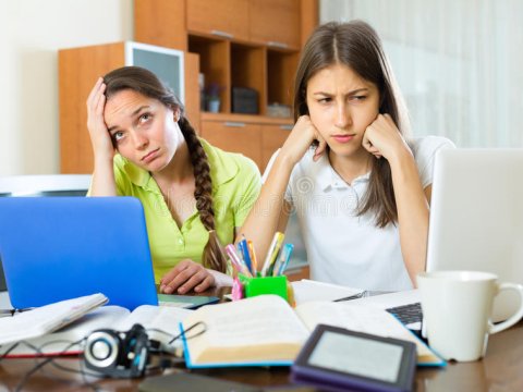 Bu qrupa sənəd verənlərin yarıdan çoxu ərizəsini təsdiq etmədi