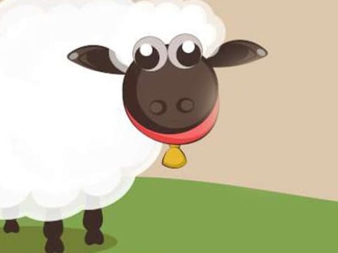 Qurban bayramında aztəminatlı ailələri sevindirin - Gənc müəllimdən xeyirxah addım