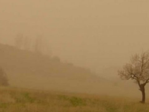 Bakıda və Abşeron yarımadasında  toz dumanı olacaq - Şagirdlərə çox zərərli