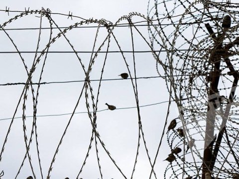 Azərbaycanda məhkum uşaqların sayı açıqlandı