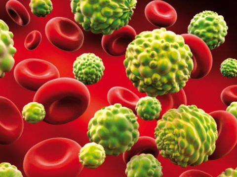 Qəbul imtahanlarındakı  yeni qaydalar Biologiya fənninə necə təsir edəcək? –“Narahat olmasınlar”