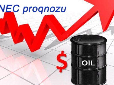 Azərbaycan neftinin dünya bazarında qiymətinin UNEC proqnozu yeniləndi
