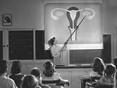 Avropanın xilas, bizimsə ayıb kimi baxdığımız seksual maarifləndirmə - “Bu öyrədilsə, qızlar çölə atılmayacaq”