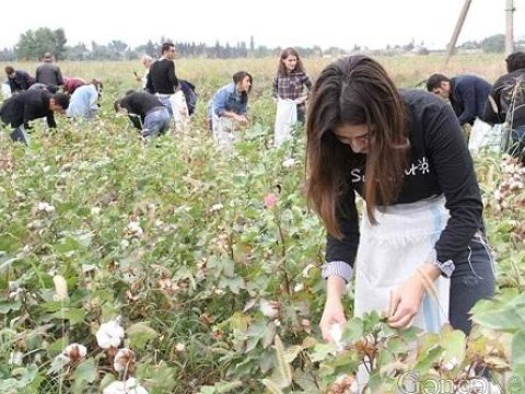 “Belə universitetdə təhsil almaqdansa, pambıq əkib daha çox şey öyrənmək olar” – Qubad İbadoğludan irad