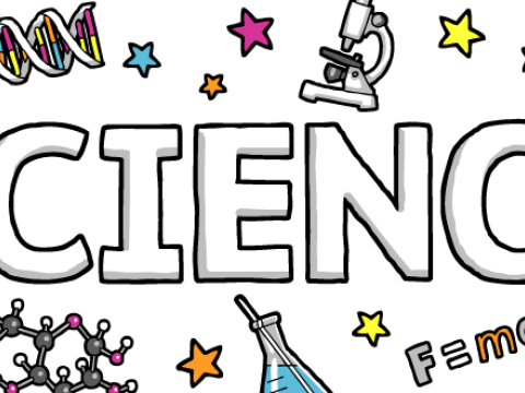 Alimlərinə məqalə çapına görə 4000 manat qonorar verən universitetimiz təəccübləndirici rəqəmləri açıqladı