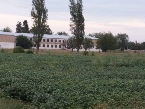 Təhsil şöbəsinin müdiri həyətində pambıq əkilən məktəbdən danışdı – “Bunun nəyi pisdir ki?!”
