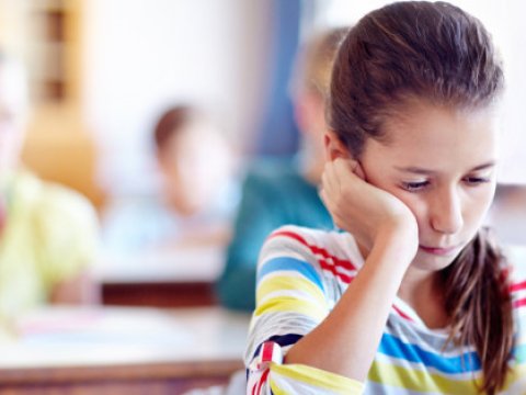 “Yol o qədər uzaqdır ki, şagird IX sinifdən təhsilini məcburən dayandırır” – 3-4 kəndə bir məktəbin düşdüyü rayon