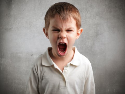 “İbtidai və məktəbəqədər təhsil kitablarında uşaq beyninin  dərk etməyəcəyi ifadələr yer alır” – “Sos” siqnalı  