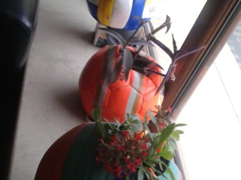 Qız şagirdlərin erkən nikahına qarşı çıxan, məktəbdə qəribə  ənənə yaradan “İdman” müəllimi -LAYİHƏ