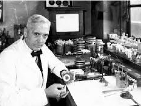 Bir  elmi  ixtiranın qəribə tarixçəsi -  Bataqlıqdan başlayan dünya  xilası