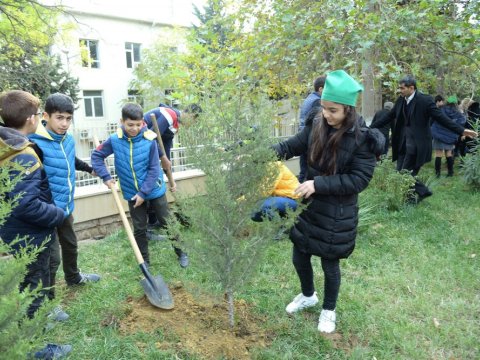Paytaxtdakı ümumtəhsil məktəblərində yeni yaşıllıq zolaqları salınıb