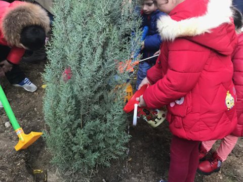 Uşaqlar ağac əkdilər - FOTOLAR