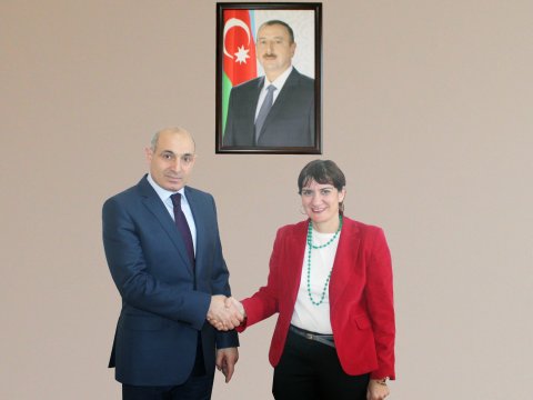 Qulu Novruzov Gülhan Yüzereroğlunu qəbul etdi