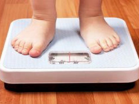 Azərbaycanda piylənmə diaqnozu qoyulan uşaqların sayı AÇIQLANDI - Məktəb və bağçayaşlıların  statistikası