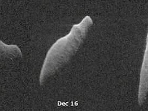 Bu asteroid dünyanın 2,9 milyon kilometr yaxınlığından keçəcək -NASA