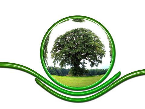 Azərbaycanlı məktəbli ekoloji inqilab yaradacaq kəşfindən danışdı - ANONS