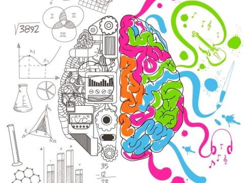 Şagirdlərin bacarıqlarını müəyyən edən Hovard Qardner nəzəriyyəsi – 9 intellekt növü