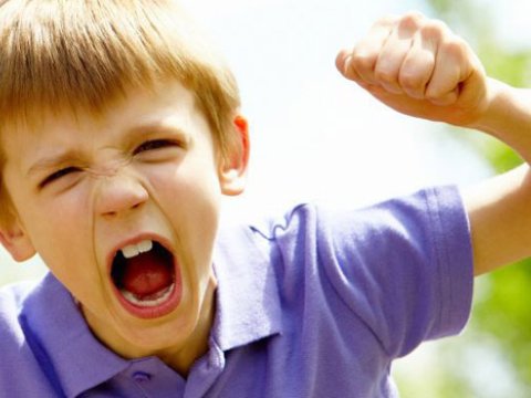 Alimlərdən valideynlərə sürpriz tədqiqat– “Dikbaş uşaqların uğurlu gələcəkləri olur”