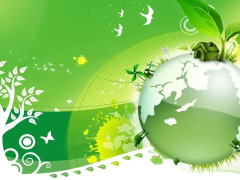 IV qrup  abituriyentlərinin ciddi narahatlığı – “Nə yeni testlər, nə də proqram var, ona görə də...”