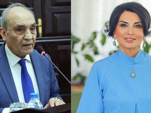 Deputat və professor Nəsiminin məzarı ilə bağlı addımı yüksək qiymətləndirdi    