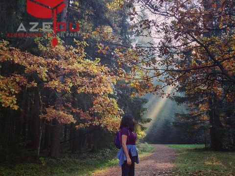 Kafesi və fərdi otaqları olan kitabxanalar,  Orta əsrlərin incisi– Nəhəng universitet  tələbənin diliylə  