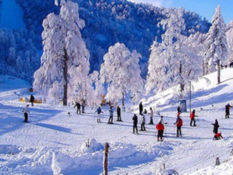 Azərbaycan məktəblərində qış tətili bu tarixdə başlayır