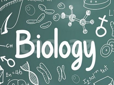 Qəbul proqramında Biologiya fənninə aid bu mövzular  yığcamlaşdırıldı –Müəllimlərin razılığı  