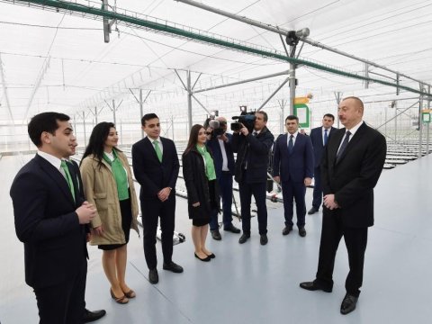 Prezident İnstitutun açılışında 