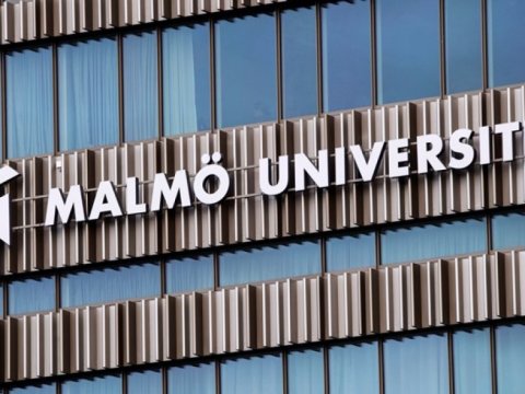 İsveç universitetində Azərbaycan dili kursları açılıb  