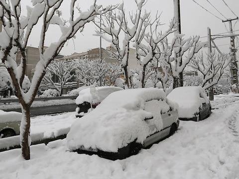 İranda qara görə məktəblər bağlandı