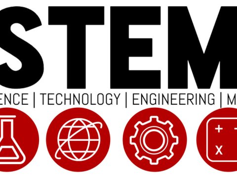 İsraildə STEM təhsili ilə bağlı təlim kursu
