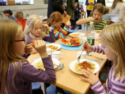 Bu qidalar şagird yaddaşına mənfi təsir edir