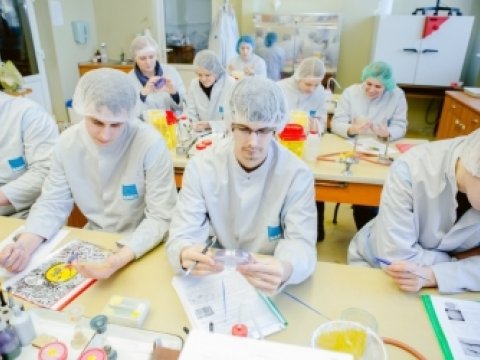 Tibb məzunlarının nəzərinə: Həkim qıtlığı olan bu ölkə Azərbaycandan mütəxəssis cəlb etməkdə maraqlıdır