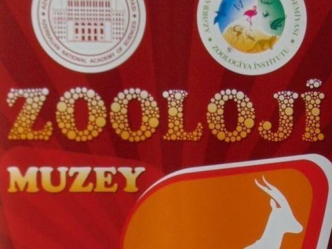 Zooloji Muzeydə məktəblilər üçün “açıq qapı” günü təşkil olunub