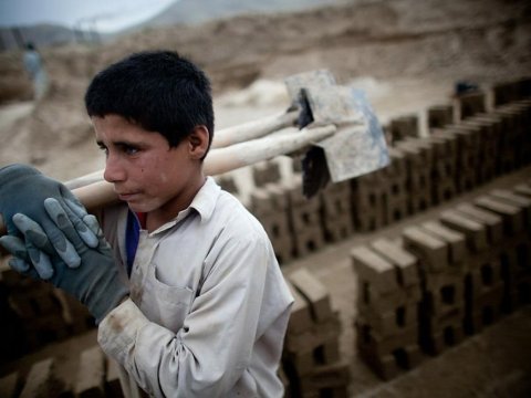 “Şagirdləri təsərrüfat işləri  ilə məktəbdən yayındırırlar” - Təhsildə valideyn günahı  