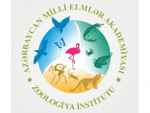 Zoologiya İnstitutunda tədqiqatlar davam edir