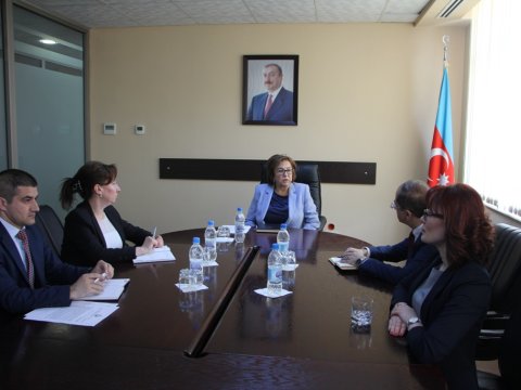 DİM-in fəaliyyətində ictimai birliklərin nümayəndələrinin iştirakı vacibdir - Məleykə Abbaszadə