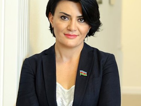 Özünü doğrulda bilməyən kolleclər bağlanacaq - Millət vəkili