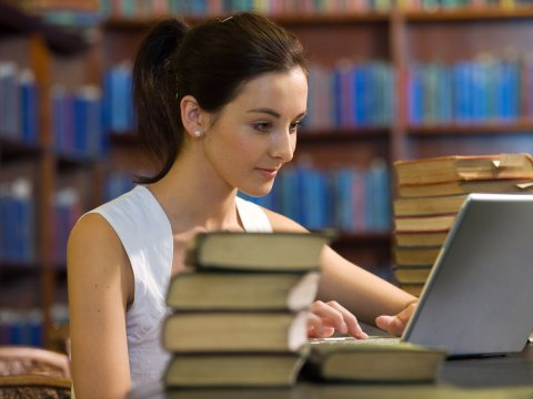 1700-dən çox bakalavr ixtisaslaşma seçimi edib