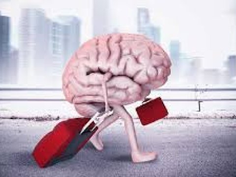 Dünya universitetlərini işıqlandıran milli ziyalarımız –“Beyin axını”