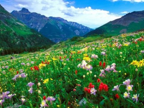 Bu gün Azərbaycanda təbiət hadisəsi baş verəcək  