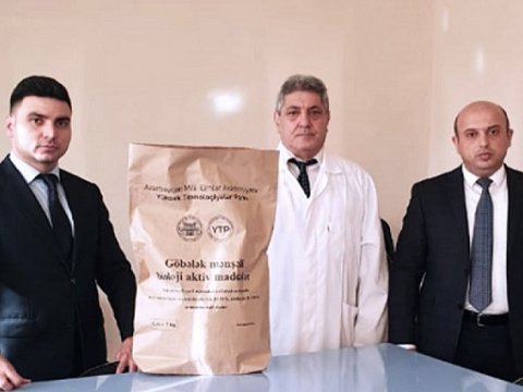 Azərbaycanlı alimin tədqiqatlarının nəticəsi kənd təsərrüfatında istifadə olunacaq