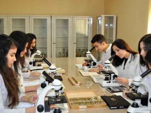 Təyinat zamanı hansı halda rezidentin istəyi nəzərə alınır? – Rəsmi  