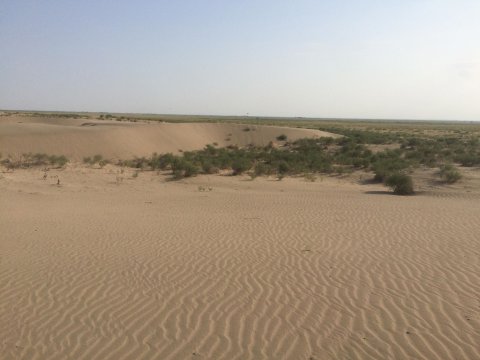 Mil düzündə səhralaşma prosesinin getdiyi sübut olundu 