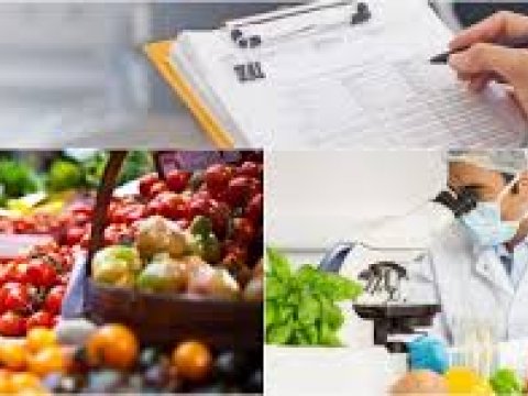 Sinir sistemini qoruyan vacib vitamin-ARAŞDIRMA