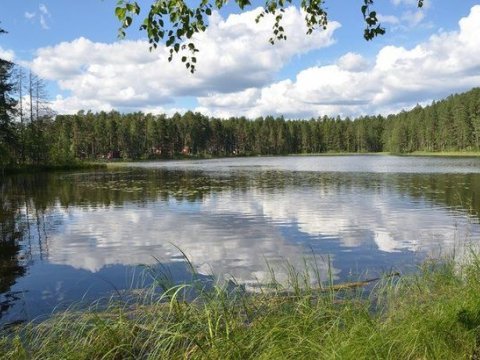 Ən təmiz havası olan ölkələr – TOP 10