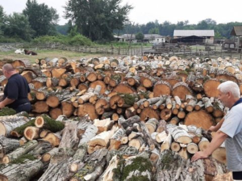 Xaçmaz rayon məktəblərinə 600 kubmetr odun ayrılıb