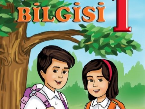Həyat bilgisi, Texnologiya kimi fənlərin dərs saatları kimə verilməlidir? – Bölgü  