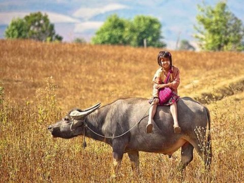 Dünyanın ən çətin məktəb yollar