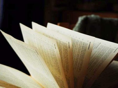 Xarici dilləri istənilən vaxt öyrənə bilərsiniz